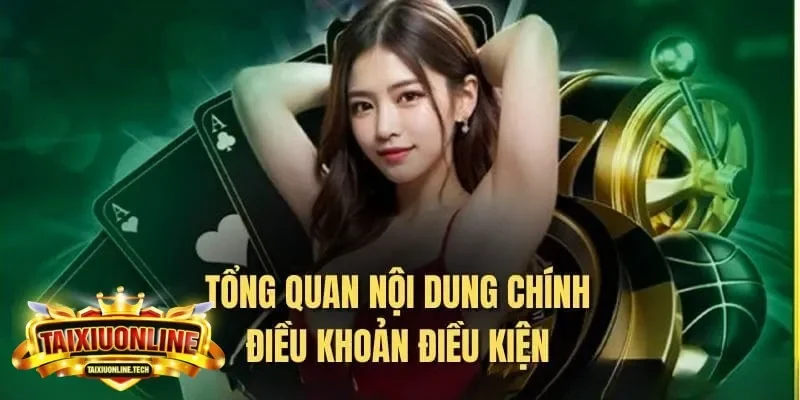 điều khoản và điều kiện